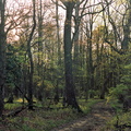 Hensley Trail